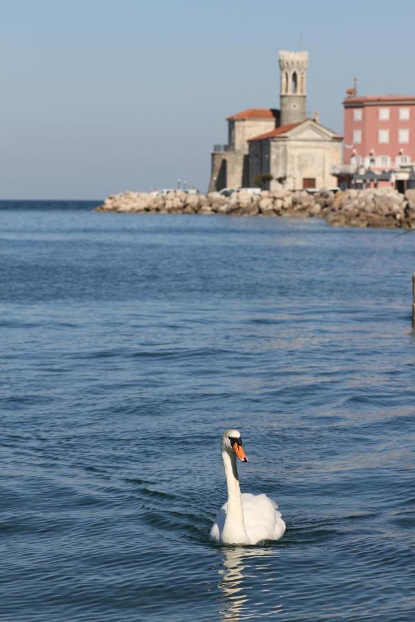 Sal & Mar Apartmán Piran